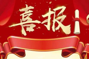 关于2022年度人力资源服务评选结果的通报，祝贺亚新(中国)有限公司集团