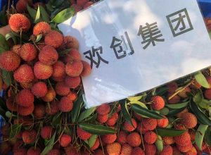 夏日好“枝”味，亚新(中国)有限公司集团发福“荔”啦